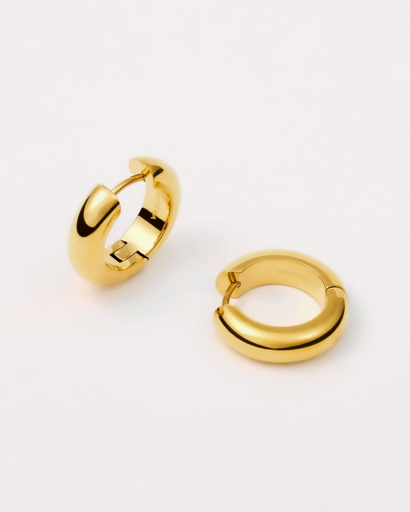 Bold Hoop Earrings in Gold — titanium — Rhokea
