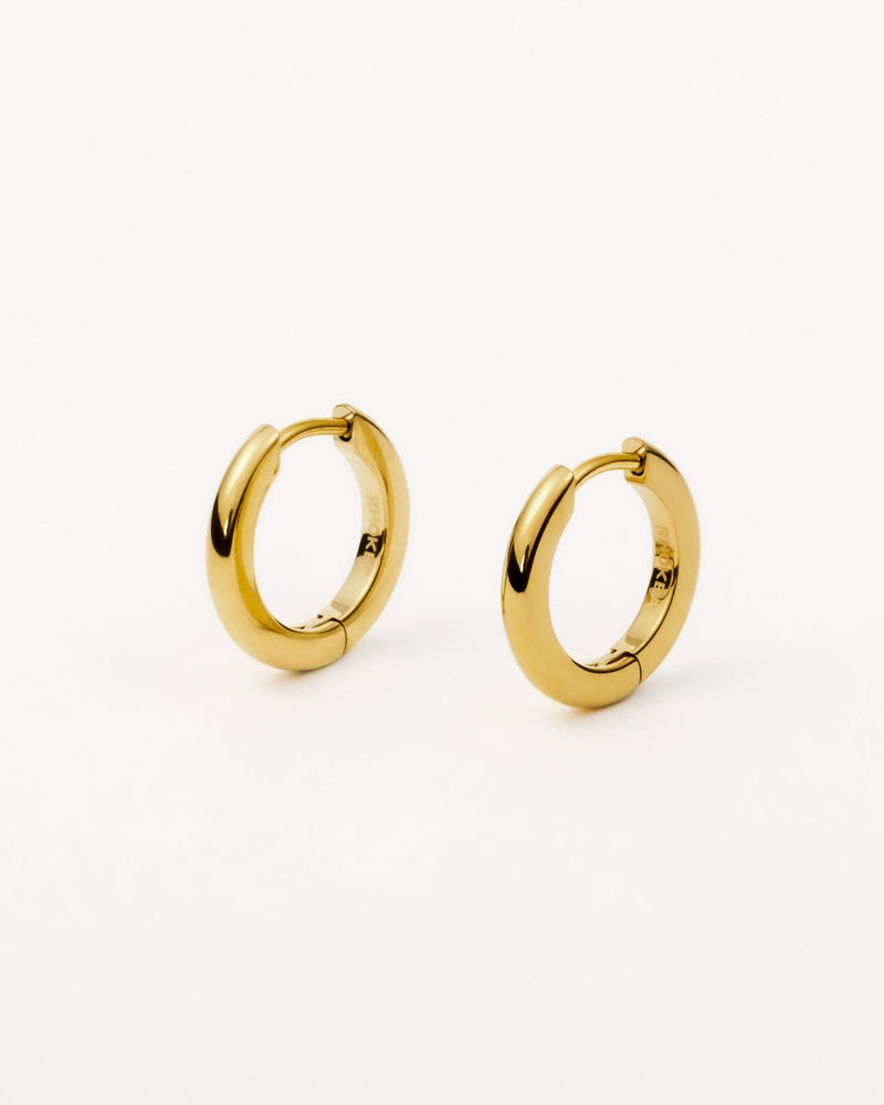 Medium Hoop Earrings in Gold — titanium — Rhokea