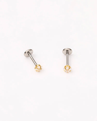 Claw Set Star Studs in Gold