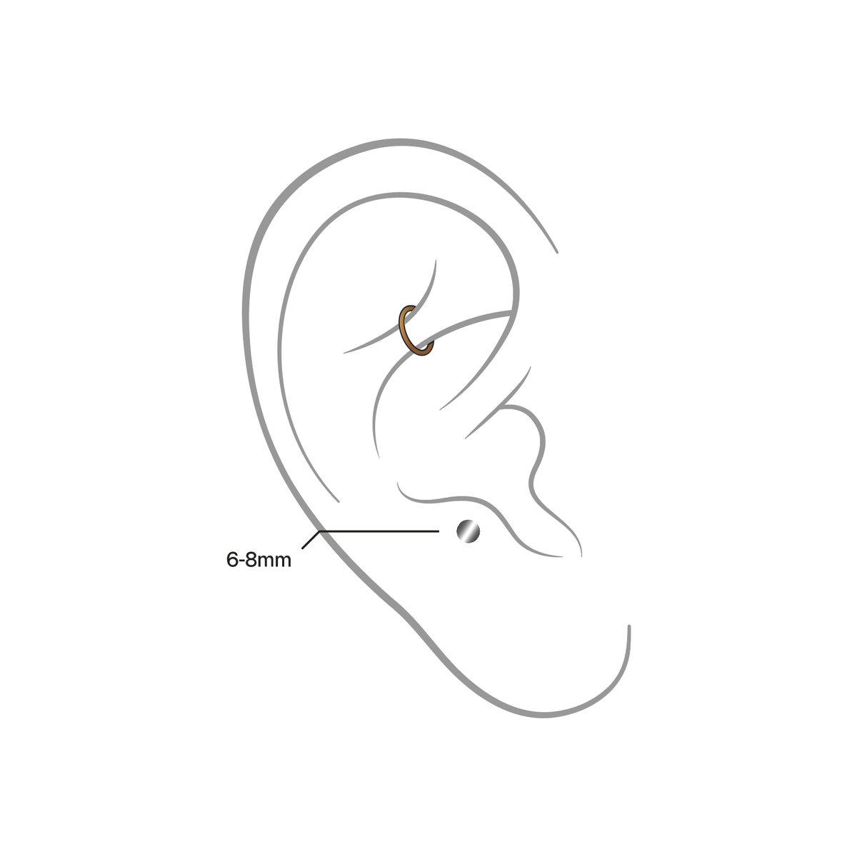 Rook & Anti-Tragus